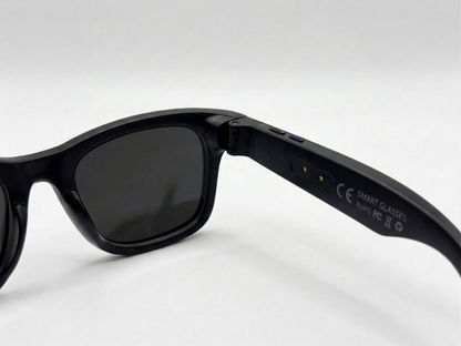 Vision ONE Sunglasses